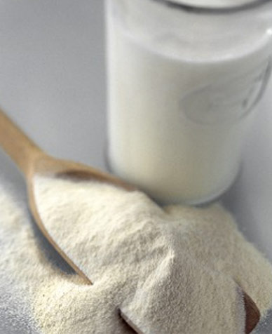  MPC. Milk Protein Concentrate Powder